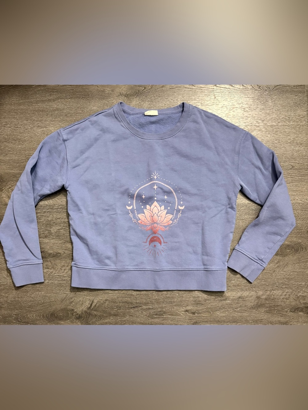 Pact Sweatshirt 100% Organic Cotton Ombre Lotus Fleece Lined Slouchy Sustainable